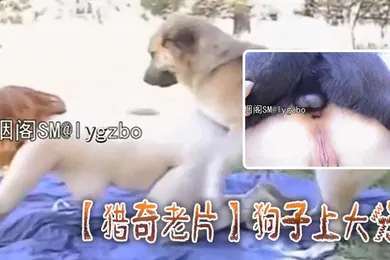 【厂牌经典】猎奇老片狗子上大分