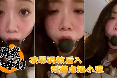【SM调教】调教母狗凌辱后入怼操小逼