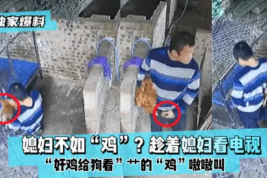 【自拍偷拍】独家爆料媳妇不如鸡趁着媳妇看电视奸鸡给狗看艹的鸡嗷嗷叫