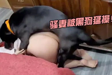 【自拍偷拍】骚妻被黑狗猛操