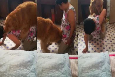 【自拍偷拍】熟女让狗子操她逼逼