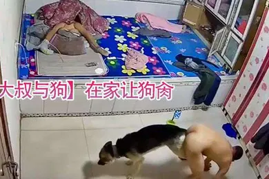 【自拍偷拍】大叔与狗在家让狗肏还被拖着走