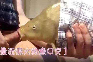 【口交自慰】最近很火的鱼口交鱼都被迫下海了吗