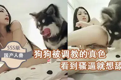 【SM调教】国产人兽狗狗被调教的真色看到骚逼就想舔
