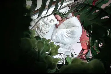 【强奸迷奸】主题酒店绿叶房偷拍大叔跨年夜吃宵夜灌醉嫩妹子开房各种玩弄草逼