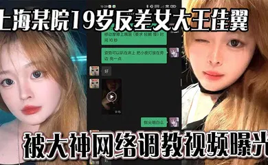 【网曝黑料】上海某院19岁反差女大王佳翼 被大神网络调教视频曝光 聊天记录十分刺激
