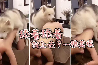 【自拍偷拍】舔舔着就上了