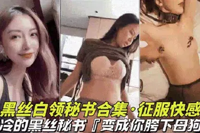 【丝袜制服】黑丝白领秘书大合集高冷黑丝秘书变成胯下母狗视觉上的享受