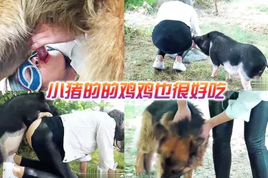 【厂牌经典】小猪的的鸡鸡也很好吃