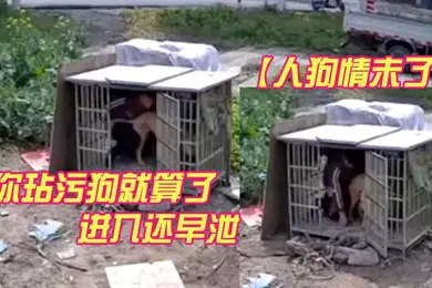 【网曝黑料】人狗情未了监控视频流出你玷污狗就算了进入还早泄