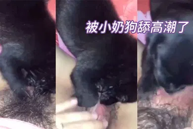 【自拍偷拍】被.小.奶狗..舔高.潮了