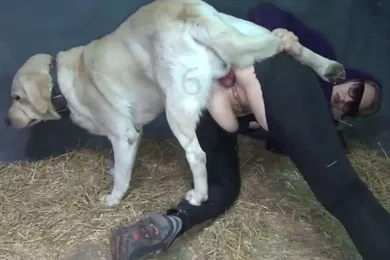【厂牌经典】女人和猪pig狗dog