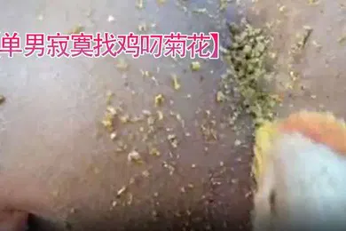 【自拍偷拍】单男寂寞找鸡叼菊花菊花看起来好紧逼