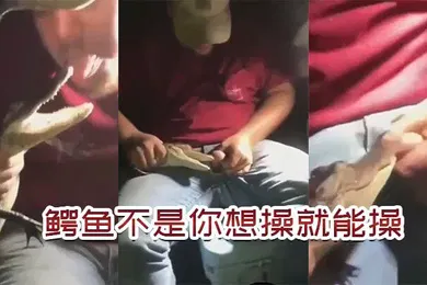 【厂牌经典】鳄鱼不是你想操想操就能操