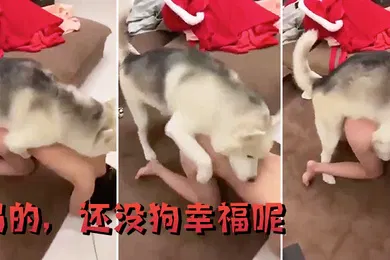 【自拍偷拍】妈的还没狗幸福呢