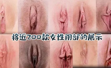 【厂牌经典】将近200款女性阴部的展示