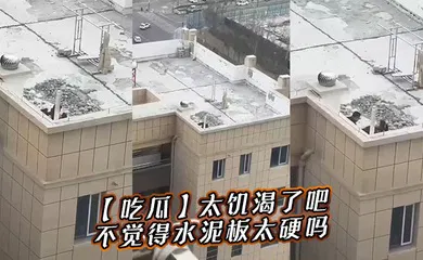 【自拍偷拍】太饥渴了吧，不觉得水泥板太硬吗