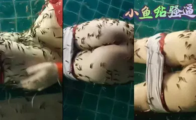 【自拍偷拍】小鱼钻骚逼
