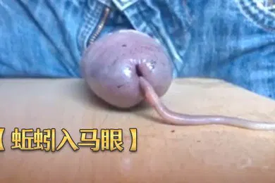 【口交自慰】蚯蚓入马眼奇特重口味虐鸡再打飞机射出来