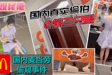 【强奸迷奸】稀缺资源国内商场尾随-潜入麦当劳高清有声版