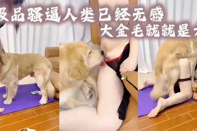 【自拍偷拍】极品骚逼人类已经无感大金毛就就是大