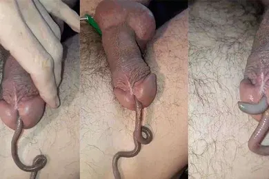 【自拍偷拍】蚯蚓钻马眼恶趣味癖好