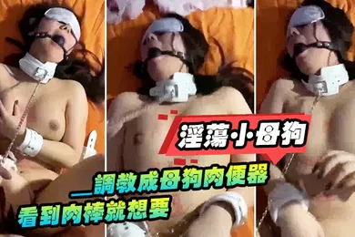 【SM调教】淫荡小母狗_调教成母狗肉便器看到肉棒就想要