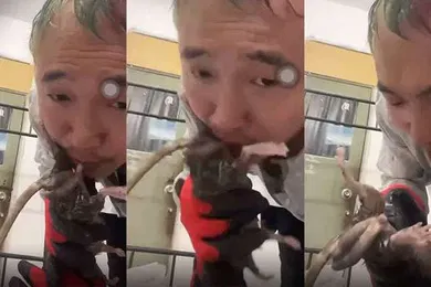 【口交自慰】劲爆给老鼠口交什么奇葩性趣