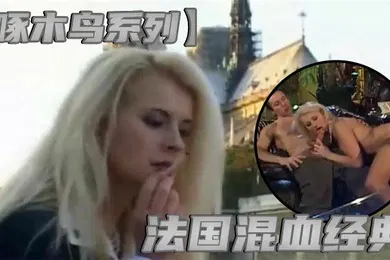 【厂牌经典】啄木鸟系列法国混血经典