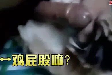 【厂牌经典】艹鸡屁股嘛