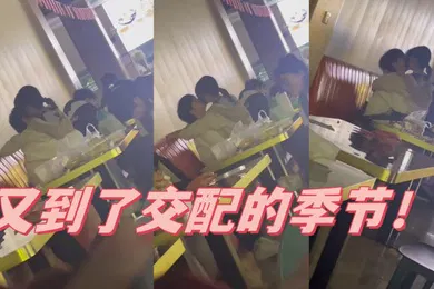 【自拍偷拍】又到了交配的季节