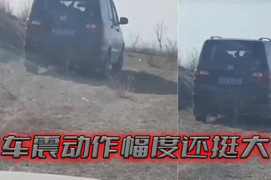 【自拍偷拍】车震动作幅度还挺大