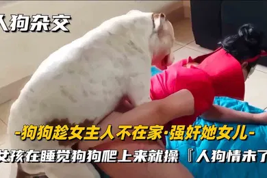 【重口调教】人狗杂交重口味系列女主人趁男友不在家用狗狗进行性爱发泄超刺激