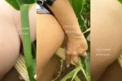 【口交自慰】猎奇自慰草了一亩地的玉米解决