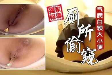 【丝袜制服】牛逼厕所偷窥公共女坐便坑内镜头多位气质白领大小便