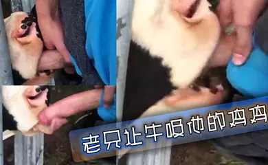 【厂牌经典】老兄让牛吸他的鸡鸡