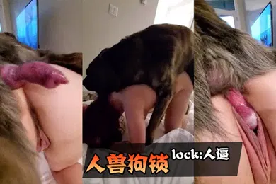【人兽】人兽狗锁lock人逼人妻
