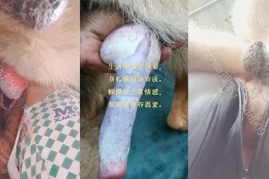 【群交多P】喜欢人狗双棒夹击的老婆老公喜欢和狗3p老婆